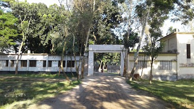 school