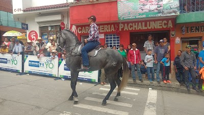 Photos of Pachalum Park