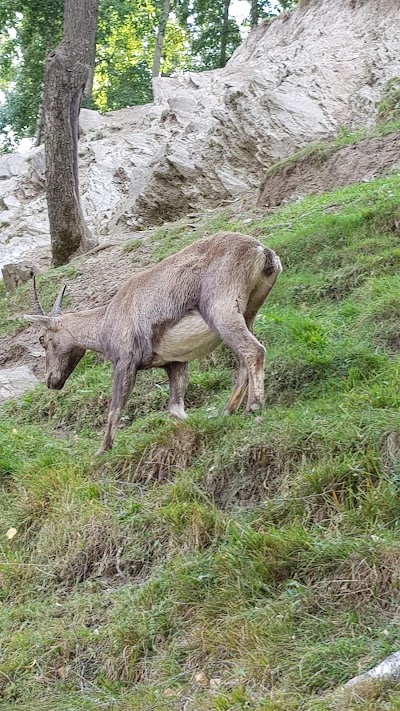 Parc Animalier d