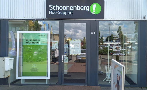 Schoonenberg - Visual