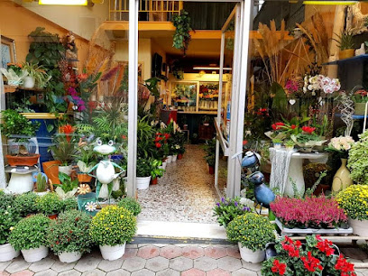 ΜΠΟΥΚΟΥΒΑΛΑ ΒΙΚΥ