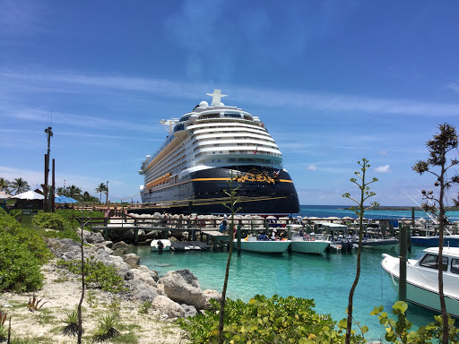 Mitzi's Magical Vacations