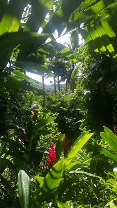Photos of Flower Forest Botanical Gardens