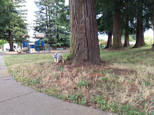 Solomon Park
