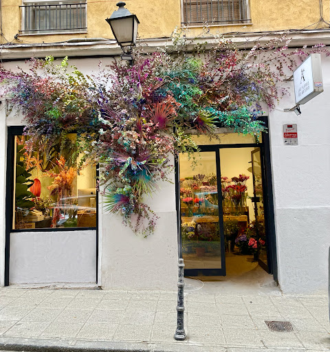 Las flores de Arturo