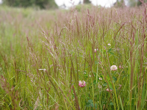 Hogan Butte Nature Park - Thumbnail