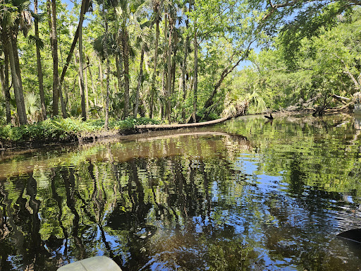 Cracker Creek - Visual