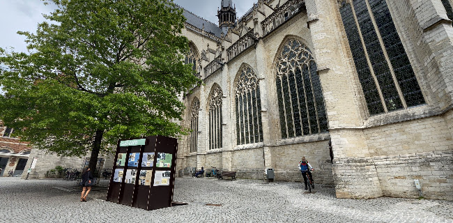 Zwerfkat In Leuven telefoonnummer