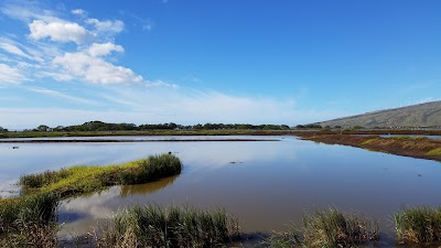 Kealia Pond National Wildlife Refuge