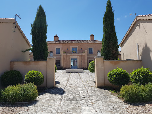 Viñedos Alonso del Yerro - Ribera del Duero