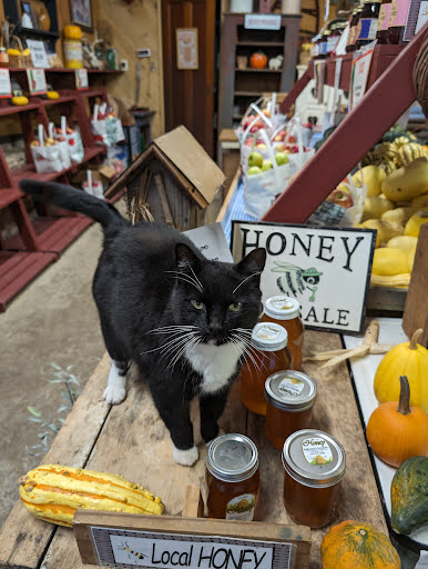 Hollmeyer Orchards - Visual