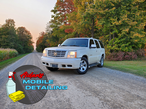 Aidan's Mobile Detailing