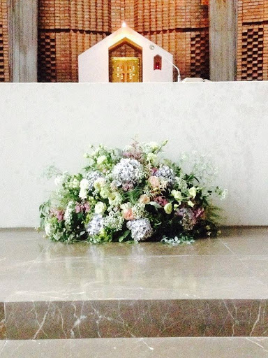 Patiflora - Visual