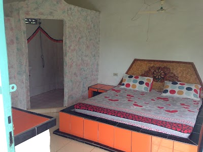 Photos of Jungle Lodge Eco Resort