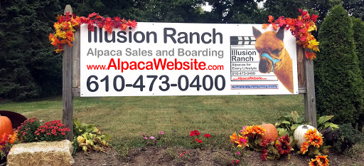 Robin Gilmore's Illusion Ranch Alpacas