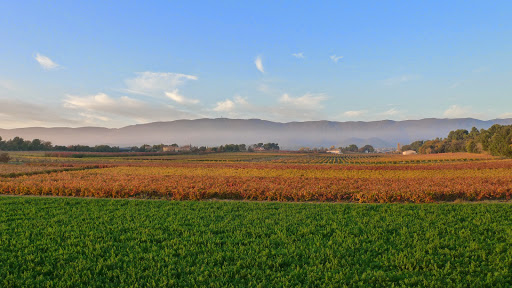 Photo de Fondation Partage et Vie - EHPAD Le Pays d'Aigues - La Tour d'Aigues à Ansouis (84240)