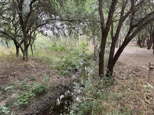 Parco marrogali - Thumbnail