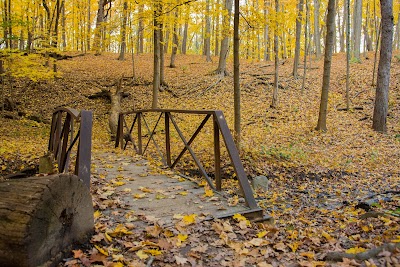 Hammel Woods - DuPage River Access