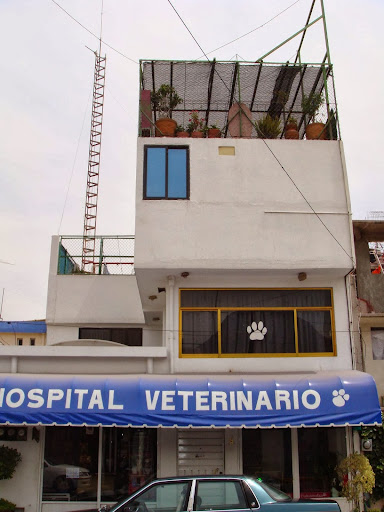 Clinica Veterinaria Dr. Raul Andrade - Thumbnail