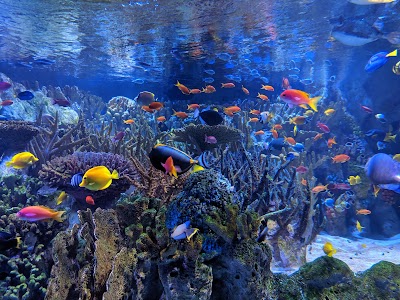 New England Aquarium