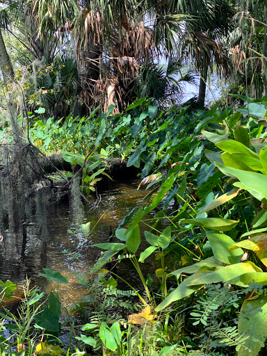 Orange Point - Welaka State Forest - Thumbnail