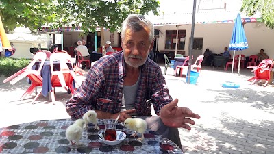 Photos of Remzi Bayrak Parki