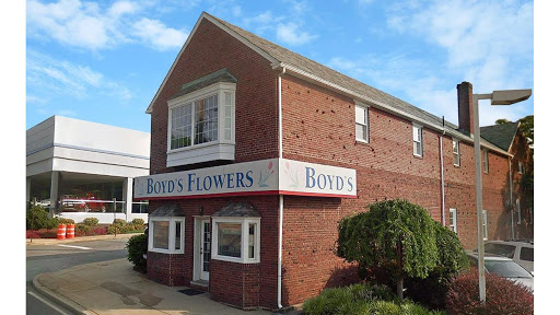 Boyd's Flowers - Visual