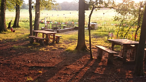 Sunset Tree Camping - Visual