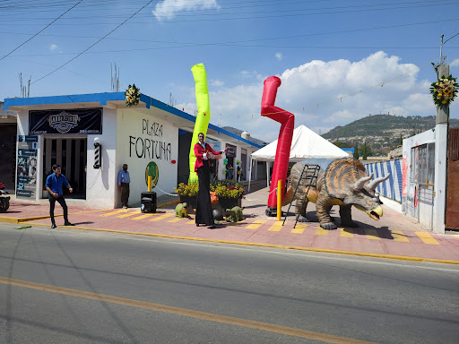 Plaza Fortuna