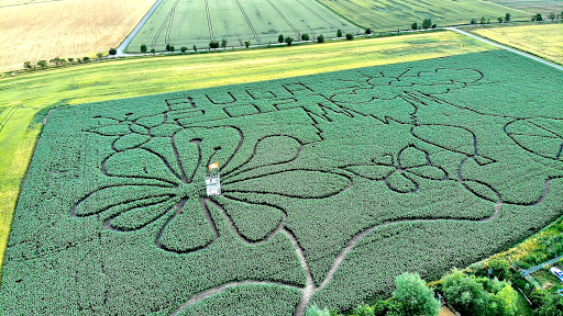 Maislabyrinth Erfurt - Visual