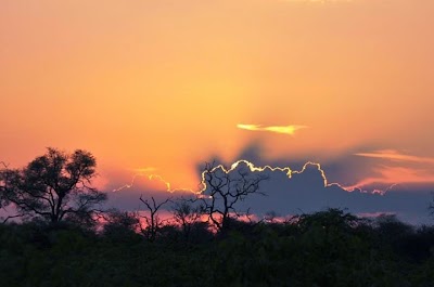 Photos of Stevensford Game Reserve