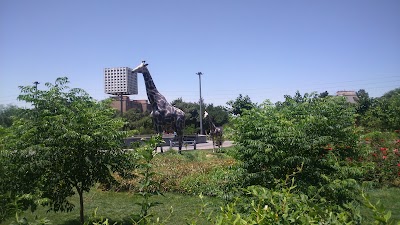 Photos of Garden martyr Avini