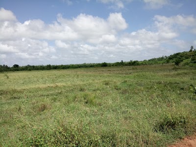 Photos of Mawila