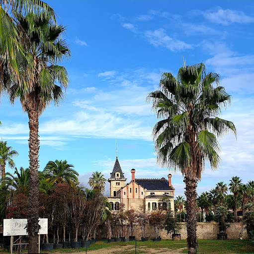 Palm Ter - Thumbnail