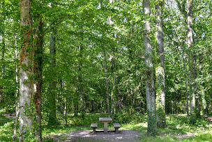 Photo n°22 de Aire de Marcigny - A6 - APRR à Marcigny-sous-Thil (Aire d'autoroute)