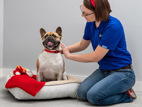 PetSmart by null