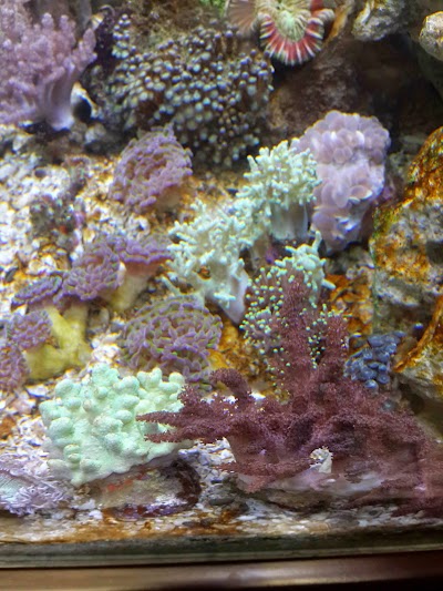 Photos of Acuario Aquasol, Mobiliarios