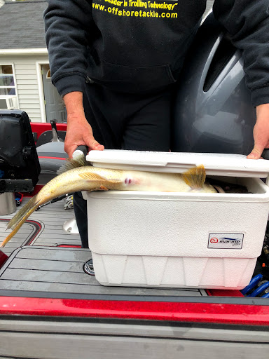 Bay View Bait & Tackle