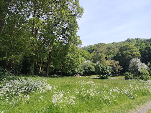 Coulsdon Common