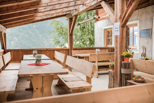 Hofschank Wald