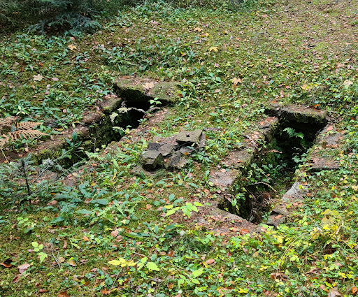 Alemannengräber - Thumbnail