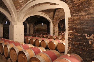 Photos of Concha y Toro vineyard