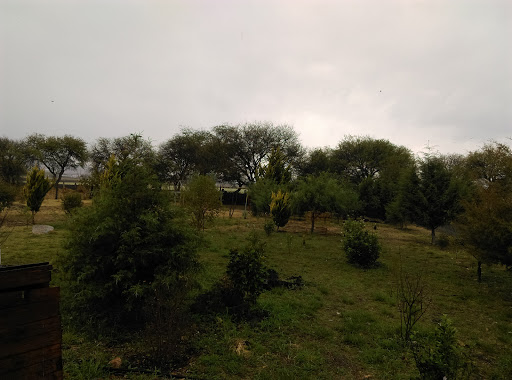 Jardin De Tita - Thumbnail