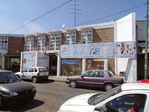 Hospital Veterinario Animal Palace