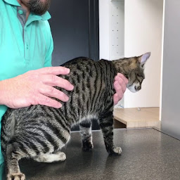 Photo n°2 de Clinique Vétérinaire Argos Bord'O Véto à Bordeaux (Vétérinaire)