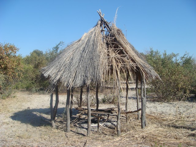 Moremi Game Reserve