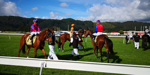 Wellington Racing Club - Thumbnail
