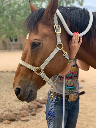 CKC PEMF Equine Therapy - Thumbnail
