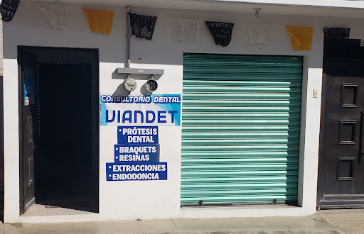 Consultorio Dental VIANDENT Sucursal Telix Logo