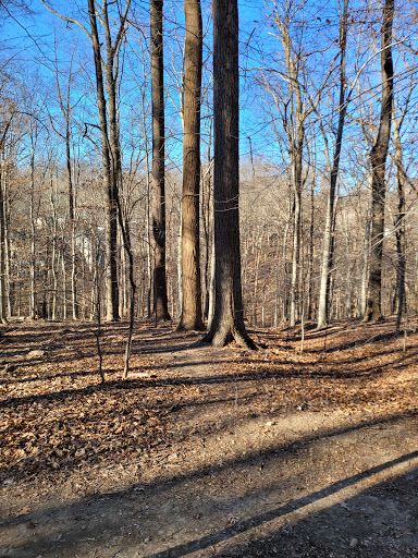 Donaldson Run Park Gallery - United States